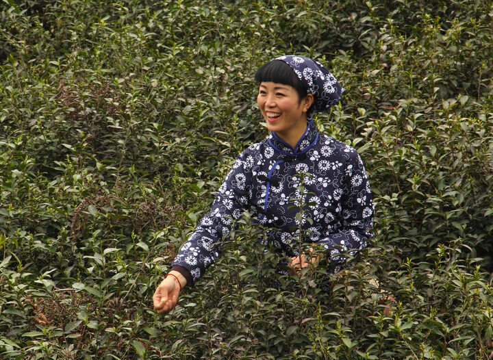 百丽直播间大片  banner